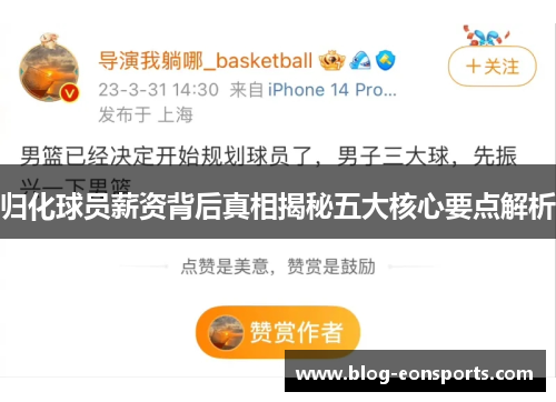 归化球员薪资背后真相揭秘五大核心要点解析