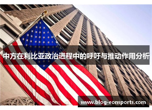 中方在利比亚政治进程中的呼吁与推动作用分析