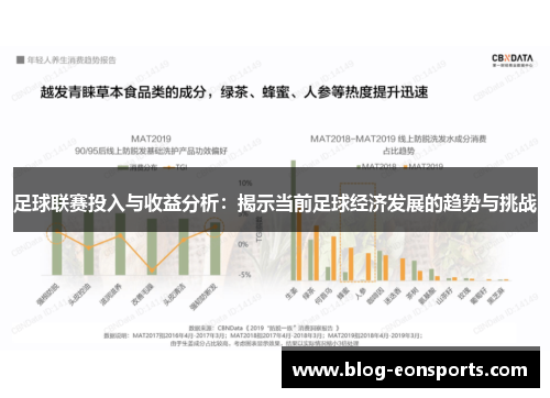 足球联赛投入与收益分析：揭示当前足球经济发展的趋势与挑战
